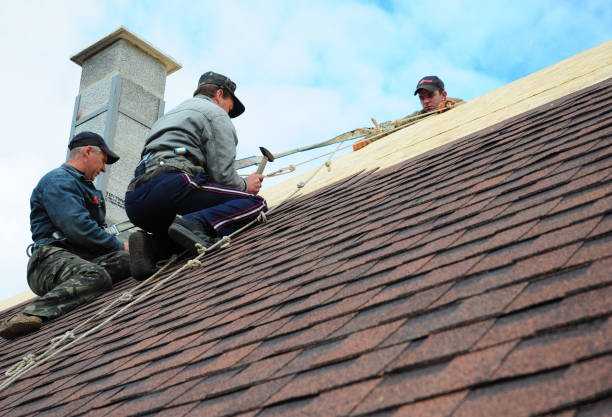 Best Storm Damage Roof Repair  in Linden, NJ